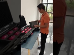 Drahtloser Audioexplosionssicherer Leben-Videodetektor