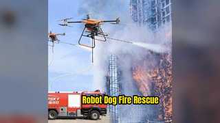 Roboterhund für Feuerrettungseinsätze